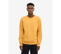Colorful Standard Mens Classic Organic Crew Neck Sweatshirt - Burned Yellow - Burned Yellow - L