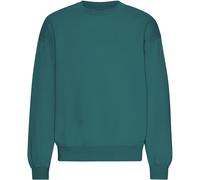 Colorful Standard Organic Ocean Green Oversized Crewneck Sweatshirt Vert S