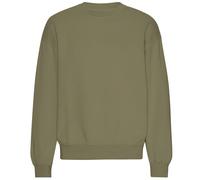 Colorful Standard Organic Oversized Crew - Dusty Olive - M - Menswear M
