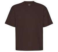 Colorful Standard Oversized Organic T-Shirt - Coffee Brown - M - Menswear M