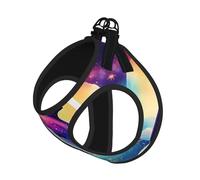 Colorful Starry Sky Dolphin Print Step in Dog Harness and Leash Set,Adjustable Reflective Harness for Small Dogs Cats
