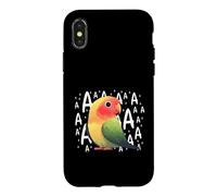 Colorful Sun Conure 'AAAA' Squawk Parrot Design Case for iPhone X/XS