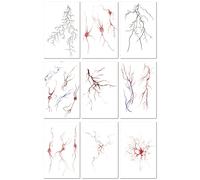 Colorful Temporary Tattoo Stickers Featuring Butterflies, Blood Vessels, Cells, Lightning Bolts, And Simple Line Designs. 105 * 148MM