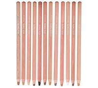 Colorful Toner Pencil Set with 12 Sketching Pencils, Safe and Super Colored Charcoal Drawing Tools, Suitable for Illustration and Handicraft, 6.8" Painting Supplies for Animation