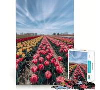 Colorful Tulip Field Under Blue Sky 1000 Pieces Puzzles for Teenagers Sharp Thinking, Accurate Cut, Fun Activity, Art Decor (38x26cm)