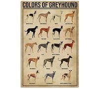 Colors Of Greyhound Metal Tin Sign Dog Type Knowledge Poster Farm Family Club School Education Wall Decoration Plaque 8x12 Inches