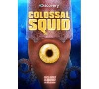 Colossal Squid [DVD] [Region 1] [US Import] [NTSC]