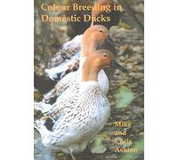 Colour Breeding in Domestic Ducks