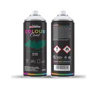 Colour Coat Pro-Matic Herbal Moss Green Gloss RAL 6005 Aerosol Spray Paint 400ml (10)