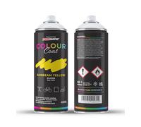 Colour Coat Pro-Matic Sunbeam Zinc Yellow Gloss RAL 1018 Aerosol Spray Paint 400ml (12)