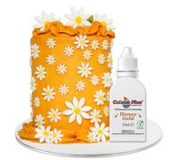 Colour Flex Oil Based Food Colouring Honey Gold - Concentrated Food Colouring for Colouring High Fat Foods; Buttercream, Chocolate, Sugar Paste, Fondant, Icing, Batter & More - 25ml