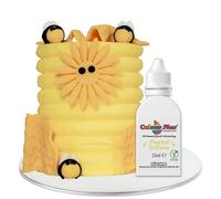 Colour Flex Oil Based Food Colouring Pink - Concentrated Food Colouring for Colouring High Fat Foods; Buttercream, Chocolate, Sugar Paste, Fondant, Icing, Batter & More - 25ml