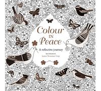 Colour in Peace: A reflective journey