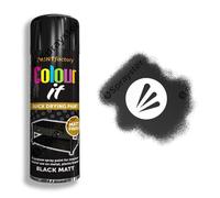 Rapide Spray Paint White Gloss – Interior & Exterior – 250 ml Can