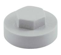 Colour Match Hexagon Screw Cover Cap 5/16" x 19mm