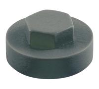 Colour Match Hexagon Screw Cover Cap 5/16" x 19mm Raven Slate Pack of 1000