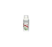 Milton-Lloyd Summer Flowers - Fragrance for women - 150 ml Body Spray