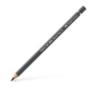 Coloured Pencil A.Durer 275