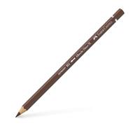 Coloured Pencil A.Durer 76