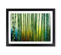 Colourful Bamboo Forest Framed Wall Art Print A2 Black