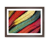 Colourful Bird Feathers Vol.1 Framed Print | A4 Walnut Framed Wall Art | Ready to Hang | Modern Nature Picture | Living Room Bedroom Lounge Office