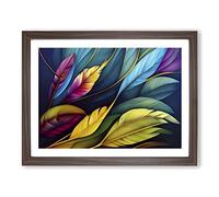 Colourful Bird Feathers Vol.4 Framed Print | A2 Walnut Framed Wall Art | Ready to Hang | Modern Nature Picture | Living Room Bedroom Lounge Office
