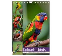 Colourful birds (Wall Calendar 2027 DIN A4 portrait), CALVENDO 12 Month Wall Calendar: The most beautiful birds in the world