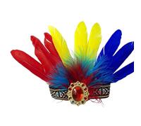 Colourful Feathered Headpiece Costume Hair Declarations Fashionable Headband for Music Festivals Parties and Daily Outfits