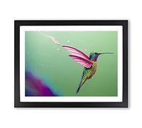 Colourful Hummingbird Vol.3 H1022 Framed Print for Living Room Bedroom Home Office Décor, Wall Art Picture Ready to Hang, Black A4 Frame (34 x 25 cm)