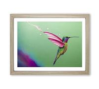 Colourful Hummingbird Vol.3 H1022 Framed Print for Living Room Bedroom Home Office Décor, Wall Art Picture Ready to Hang, Oak A4 Frame (34 x 25 cm)