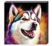 Colourful Husky Dog Canvas Wall Art Print - Multiple sizes (20" X 20" (508MM X 508MM))