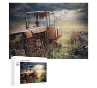 Colourful Jigsaw Puzzle for Adults, The Forgotten Veteran, 300 PCS