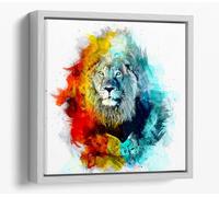 Colourful Lion Sketch Canvas Floater Frame Square Print Picture Art - White Frame 16 inch wide x 16 inch high