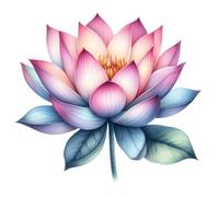 Colourful Lotus Flower Vinyl Decal Stickers, Cover Marks, 300mm Tall Qty:1 Ideal for Wall, Car, Glass, Plastic, Bonnet, Door, Van, Bath & More, Large Floral Mindful Graphic