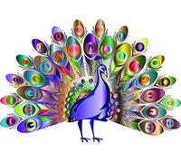 Colourful Peacock Wall Art Vinyl Sticker Kids Nursery Window Laptop Decal a41 (Small)