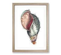 Colourful Seashell by George Shaw Framed Print | A2 Oak Framed Wall Art | Ready to Hang | Modern Nature Picture | Living Room Bedroom Lounge Office