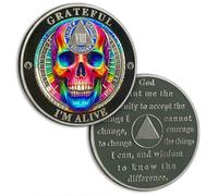 Colourful Skull 8 Year Sobriety Coin, AA Chip Sober Gifts for Men Women