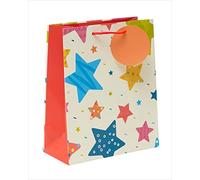 Colourful Stars Patterned Medium Gift Bag with Tag Gift Wrapping Essentials 689087
