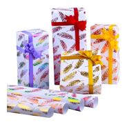 Colourful Wrapping Paper with Gold Embossing Asudaro Pack of 10/4 Birthday Wrapping Paper with Feather Design Foil 50 x 70 cm Feathers Happy Colour Birthday Gift Wrap Creative Pattern Decorative Paper