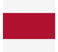 Colourist : Heat Transfer Paint : 50ml : Series 1 : Cranberry