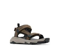 Columbia Men's Peakfreak Rush Sandal Lea Sport, Cordovan/Pebble, 6 UK