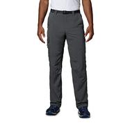 Columbia Men's Silver Ridge Cargo Pants - Grill, Size 44/32/