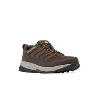 Columbia Men's Strata Trail Low Hiking Shoe, Cordovan/Golden Yellow, 10.5 UK