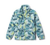 Columbia Youth Unisex Helvetia 2 Printed Half Snap Fleece, Fleece Pull Over, Crushed Blue Sisters, Everblue, L