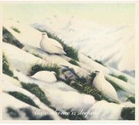 Column One - The Audience Is Sleeping