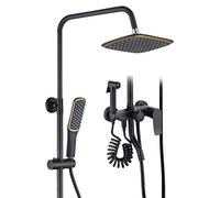 column rain stainless steel, height-adjustable, set with flexible holder for using existing drilled holes, incl. Two shower hoses (black)