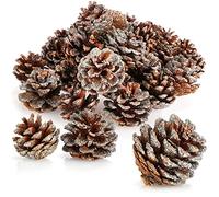 com-four® 30x pine cones with silver-colored glitter - pine cones as Christmas decoration - cone decoration with glitter - scatter decoration - handicraft set (30 pieces - silver-colored)