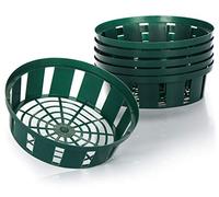 com-four® 6x Planting Baskets for Bulbs, Planting Bowl for Growing and Storing Bulbous Plants, Small Green Onion Basket