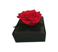 Comarco Sa Real stabilized red rose gift box 11x11x10 cm
