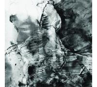 Combat Combat (Vinyl) 12" Album (US IMPORT)